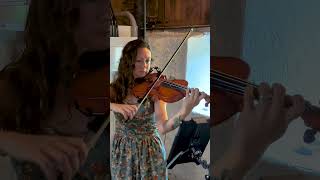 Iron amp Wine  Flightless Bird American Mouth The Fox Music Violin Cover [upl. by Saxet]