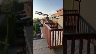 Chilling on the roof roofing chill chilling subscribe GOLDENCHICK short shorts [upl. by Eliga]