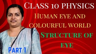 human eye and colourful worldclass 10 cbse physicsintroduction part 1 [upl. by Amero948]