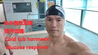 激效反應，無醣啟動血糖 Hormesis triggering glucose without food CGM 實驗 中英 bilingual [upl. by Enirehtac457]