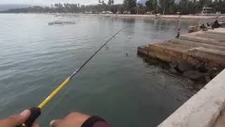 ep7DIYRATTLER SABIKIfishing sa pier grabi ang mga isda dito [upl. by Ilegna]