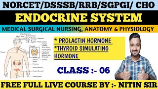 ENDOCRINE SYSTEM Medical Surgical Nursing CLASS 06FREE LIVE COURSE NORCETDSSSBRRB freeclasses [upl. by Phionna844]