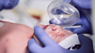 Module 2 Neonatal Resuscitation [upl. by Eluj536]