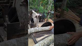 The process of sawing waru wood using a serkel saw woodworking [upl. by Eadahc]