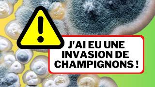 🪱 AUTOSUFFISANCE  En 30 jours transforme tes déchêts en compost même en appartement semanciper [upl. by Hashum]