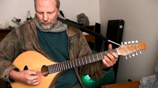 Wildwood Flower on a Brauchli Cittern [upl. by Hannie24]