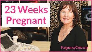 quot23 Weeks Pregnantquot by PregnancyChatcom PregChat [upl. by Emor]