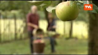 Tjing Tjing Tuin alles over appels [upl. by Anneyehc]