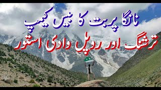 Nanga Parbat Rupal face Vlog [upl. by Ginger]