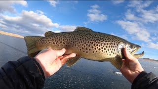 Early ice fishing Antero Reservoir for BIG TROUT [upl. by Werdnaed]