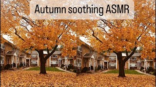 Relaxing and soothing autumn ASMR  fall foliage cottage core ASMR [upl. by Paz]