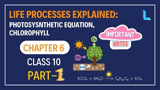 Life processes  Photosysnthetic Equation Chlorophyll  Chapter 6  Quick Revision [upl. by Ebberta]