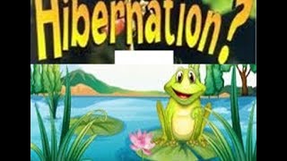 Hibernation Definition for Kids  ToddlersKindergartenPreschoolers [upl. by Martelli]