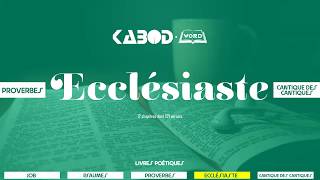 « Ecclésiaste »  LAncien Testament  La Sainte Bible audio VF Complète [upl. by Asira]