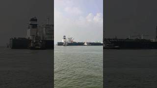 Vlcc berthing merchantnavy ship vessel vlcc reels travel shorts viralvideo trending nice [upl. by Adnole]