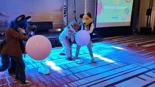 IWAG 2024 Part 10  Fursuit Gameshow [upl. by Snave601]