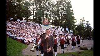 Musikverein St Nikola Reise nach Estland 1998 [upl. by Navinod903]