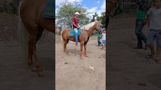 Cavalo top na feira de Cavalo foi vendido os cavalos mais lindos cavalo [upl. by Norreg]