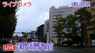 ライブカメラ 新潟駅前 新潟県 Live camera in front of Niigata station Niigata prefecture [upl. by Langelo]