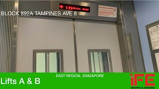 HDB Block 892A Tampines  IFE Elevator [upl. by Fowler287]