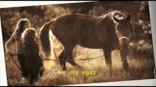 Beautiful in My Eyes  Joshua Kadison lyrics HD [upl. by Gaskins]