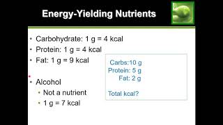 Easy Guide How to Calculate Calories [upl. by Eneres]