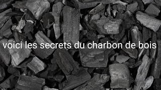 VOICI LES SECRETS CACHÉS DU CHARBON DE BOIS EN ÉLEVAGE [upl. by Aisnetroh435]