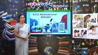 Grade 12 Biology Chapter 1 Introduction to Biology Part 1 [upl. by Matthus]