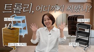 트롤리 어디까지 써봤니it지영 내돈내산 [upl. by Beitnes341]