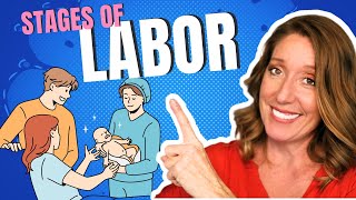 Stages of Labor Explained by a Womens Health PA [upl. by Suiratnauq277]