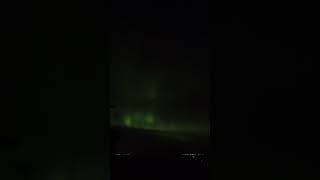 СЕВЕРНОЕ СИЯНИЕ nothernlights aurora calgary alberta [upl. by Roskes376]