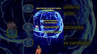 QUIZ DEL CEREBRO EN ACCIÓN CUÁNTO SABES [upl. by Cini73]