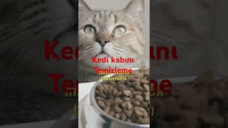 KEDİ KABİNİ DÜZENLİ TEMİZLEYİN [upl. by Ahtabbat343]