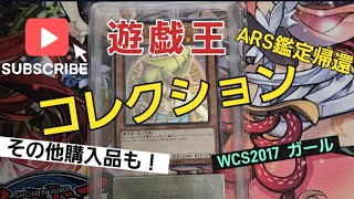 【遊戯王】 鑑定品 コレクション ARS鑑定から帰還 ホロガール [upl. by Kcirted538]