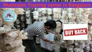 Mushroom training center in Bangalore  jai maruthi mushroom  Kkadvertisingzone [upl. by Dranoc]