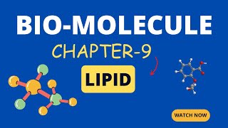 Bio  Molecule  Lipids  Class 11 NCERT  Biology  LC [upl. by Blanding958]