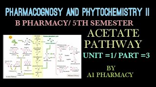 Acetate pathway  pharmacognosy and phytochemistry 2 unit 1  part3 [upl. by Willumsen]