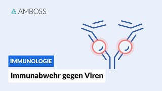 Immunabwehr gegen Viren  Immunologie  AMBOSS Video [upl. by Enilamme]