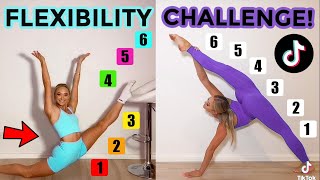 FLEXIBILITY TIK TOK CHALLENGE TWIN VS TWIN [upl. by Gerdeen]