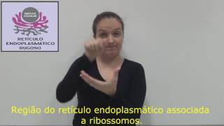 Retículo Endoplasmático Rugoso [upl. by Hapte]