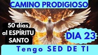 DIA 23 ❤️🔥DE 50 DIAS EN EL CAMINO PRODIGIOSO con el ESPÍRITU SANTOTENGO SED DE TI💦 [upl. by Ettenuj170]