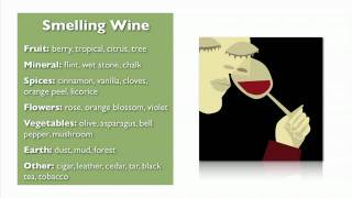 Wine Basics from My Wine Smarts [upl. by Arza436]