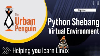 Setting the Correct Python Shebang for a Virtual Environment [upl. by Lowenstern]