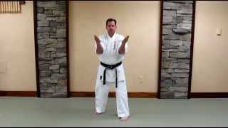 Uechi Ryu Sanchin Kata  Basic Study Guide [upl. by Ahsyt]