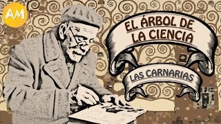 EL ÁRBOL DE LA CIENCIA Resumen de la Parte 2  LyL ActiviMundo [upl. by Nowaj]