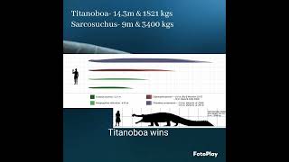 Titanoboa vs Sarcosuchus youtubeshorts science crocodile snake animals [upl. by Einaled813]