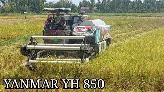 Tidak ada Lawan  YANMAR YH 850 Benar2 Top  Potong Padi Cara Moderen Cepat dan Berkwalitas [upl. by Norreg]