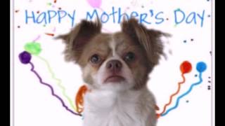 Funny Mothers Day Song Happy Mothers Day from Frazi [upl. by Entwistle]