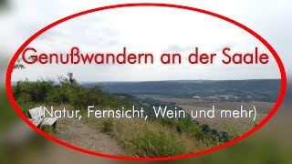 Genußwandern an der Saale zwischen Bad Kösen und Naumburg Natur Fernsicht Saale Weinmeile [upl. by Richers794]