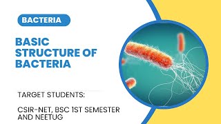 Basic structure of Bacteria  Bacteria series  L1 [upl. by Ankney]